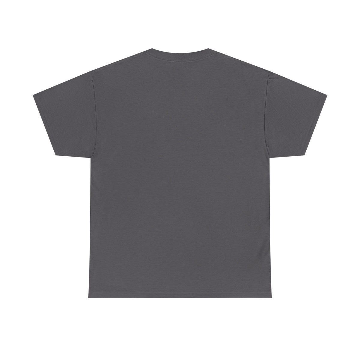 Montana Scenic T-Shirt – Vintage Mountain Lake Graphic Tee