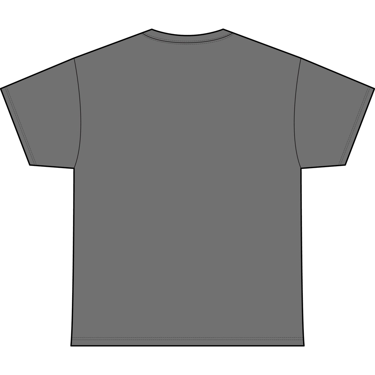 America Raccoon Graphic Stone Wash Heavy Tee