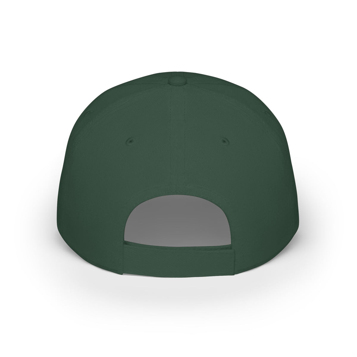 Vietnam Veteran Baseball Cap — Embroidered Gold Text Low Profile Hat for Veterans & Memorial Events
