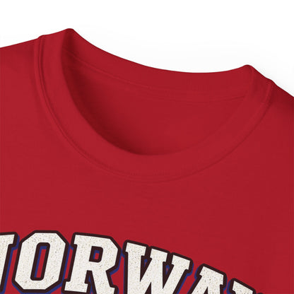 Norway Flag Viking Ship T‑Shirt — "Alt For Norge" Patriotic Tee